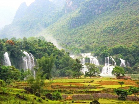 Hoa Binh